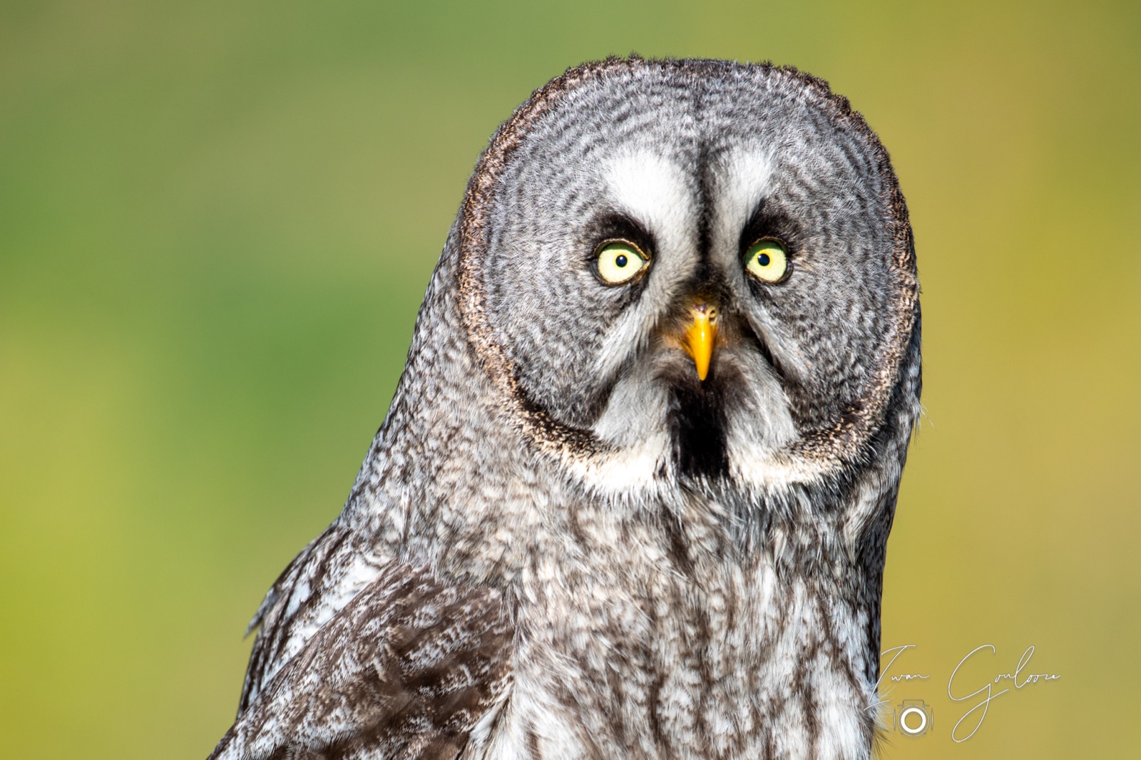 18 april 2022 095622  5D46460